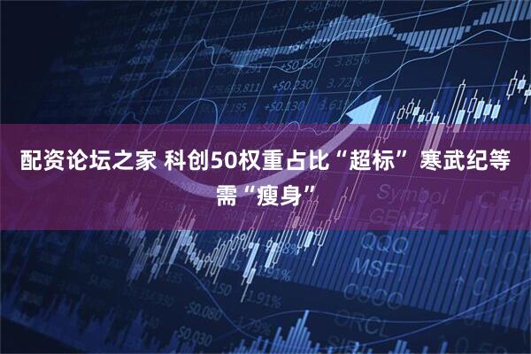 配资论坛之家 科创50权重占比“超标” 寒武纪等需“瘦身”